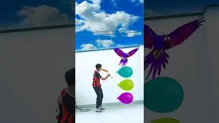 Birds Names - Funny balloon vfx magic video