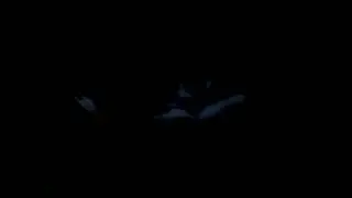 26.08.2024. / 21:26 🌃 🌉 🐈 Cat outside in dark ( Mačka napolju u mraku )