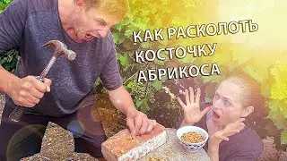 Как расколоть абрикосовые косточки