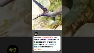 5 Fun Facts About Dinosaurs That’ll Blow Your Mind