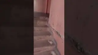 ЛИФТ МЛМ ЗАСТРЯЛ В ПРИОТКРЫТОМ ПОЛОЖЕНИИ. 