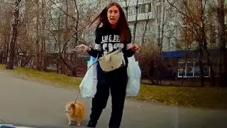 WTF Moments Caught On Dashcam Compilation Part 9