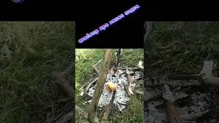 завтра новое вмдео