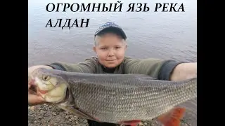 ОГРОМНЫЙ ЯЗЬ НА ЗАКИДУШКУ!!! РЫБАЛКА НА РЕКЕ АЛДАН 2021!!!