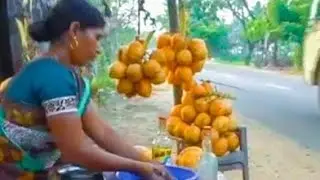 Nungu juice | Nungu sarbath நுங்கு (tender palm fruit drink) Kanyakumari highway | TRAVANCORE LIFE