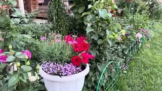 Сад и законы диалектики. Единство и борьба противоположностей.