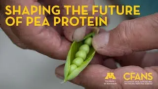 Shaping the Future of Pea Protein - VR 360