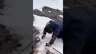 11 января 2024 г.