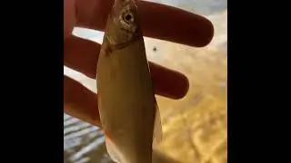Будьте Счастливы!
