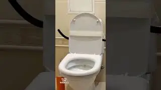 Cute Life Doodles | toilet, shampoo 🤪 