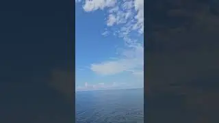 Были бы крылья...