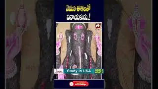 #viralshorts #trending #ganeshchaturthi #peacockfeatherganesh #gooty #hittvtelugunews