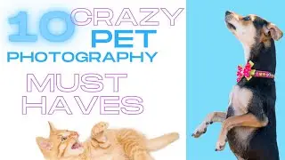 10 Crazy PET PHOTOGRAPHY Items 