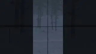 I just love hitting these shots in Hell Let Loose