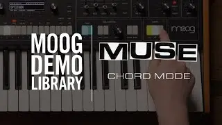 Muse | Chord Mode Performance Controls