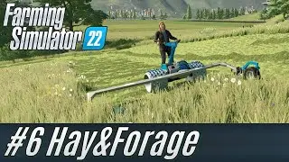LS22 Hay & Forage #6: Fahrvergnügen mit dem Brielmaier [deutsch]