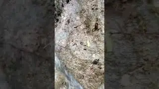 Аше. Мамедово ущелье