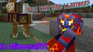 How to TAME LLAMAS in Minecraft!