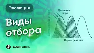 Тема №1: Виды отбора