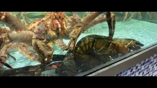 KING CRAB SA WEMART DUBAI, SOBRANG LAKI !!! UAEVLOGS#01