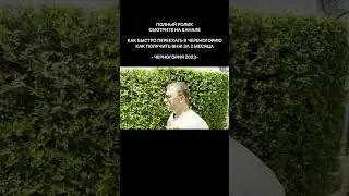 Как быстро переехать в Черногорию Как получить ВНЖ за 2 месяца в 2023 