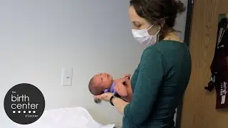 mainstream midwifery care