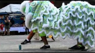 Chinese New Year Hawaii 2012 Part 1