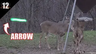 HE SHOT THE FEEDER! (Doe Hunting in West Virginia)