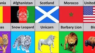 National Animals From Different Countries