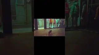 Кот тырит куртку под крутую музыку #stray #игры #киберпанк