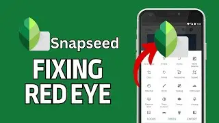 How to Fix Red Eye in Snapseed 2024?