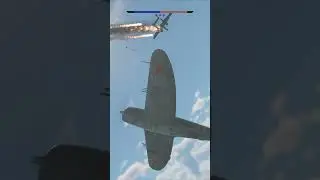 WT