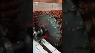 Узбекский шашлык