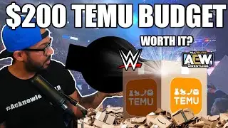 I spent $200 on Wrestling Merch from Temu (Is it worth it?!)