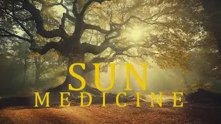 Sunstice ☀️Beauty of Mother Earth : 432hz : Shaman Drum, Handpan & Tibetan Bowls