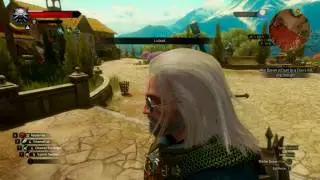 Witcher 3 Insecurity: Get into Dun Tynne Castle without fighting guards (useless bug)