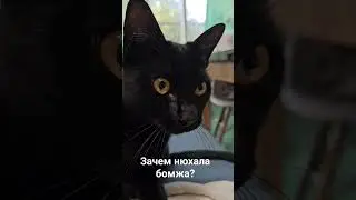 мама учит сына