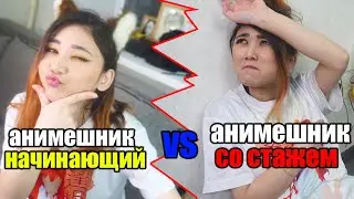 НАЧИНАЮЩИЙ АНИМЕШНИК vs АНИМЕШНИК СО СТАЖЕМ