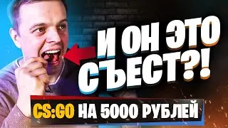 ОН СЪЕЛ КОШАЧИЙ КОРМ?? | 1 vs 1 в CS GO с наказаниями | Шоу КиберЗамес #4 | GGF