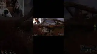 СТАЛКЕРШИ РАЗВЛЕКАЮТСЯ #stalker2 #сталкер #stalker