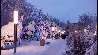 Рождество и первая тысяча подписчиков!