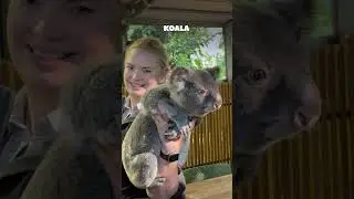 Currumbin Wildlife Sanctuary Gold Coast | Aditi In Australia