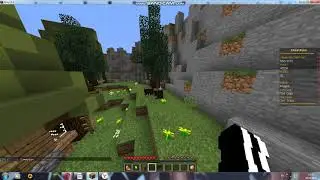 Розыгрыш на аккаунт 3Jlou_KpoJluk CheatMine