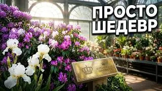 481. Специально для любителей  комнатных растений //  что растет в королевской оранжерее.