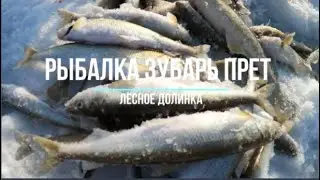 Сахалинская рыбалка ЗУБАРЬ 1 РЫБАЛКА ДОЛИНКА