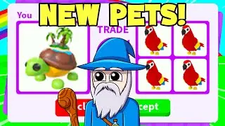 Trading New ISLAND TURTLE PET (Roblox Adopt me)