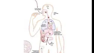 Echinococcus granulosus lecture