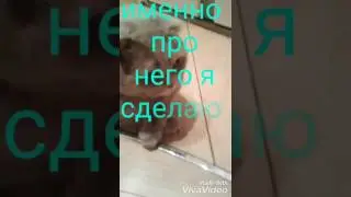 Новая рубрика