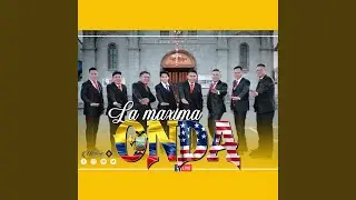 Lejos de mi tierra (Live)