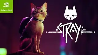 Stray Gameplay on nvidia geforce 840m